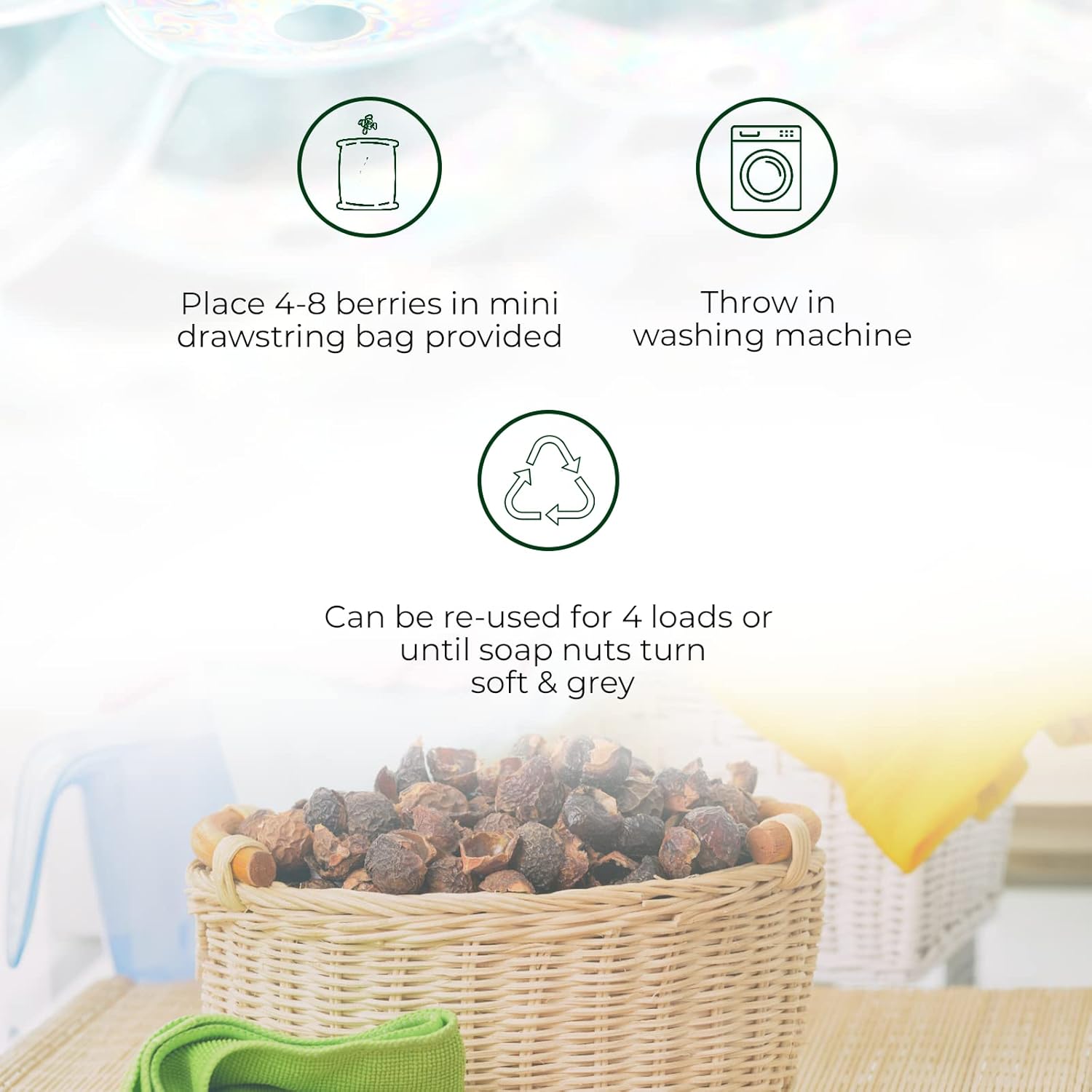 Soap Nuts